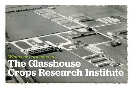 Whatever happened to… the Glasshouse Crops Research Institute
